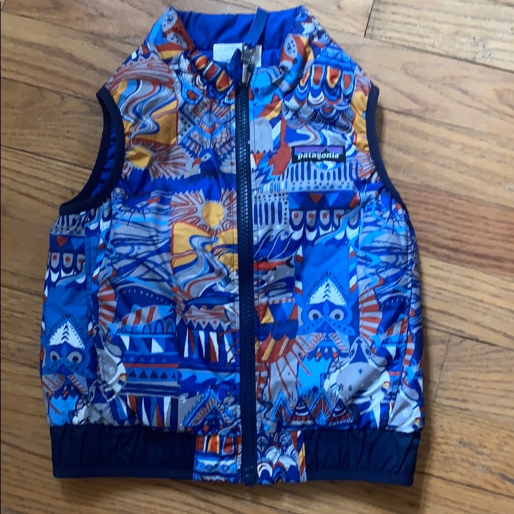 2t Patagonia Vest